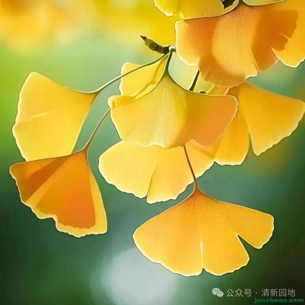 640 (15).webp.png