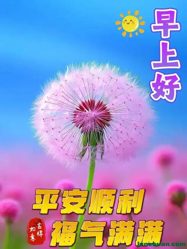 289313657_8_20241007114036489.webp.jpg