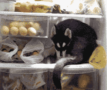 s20131017124240613.gif