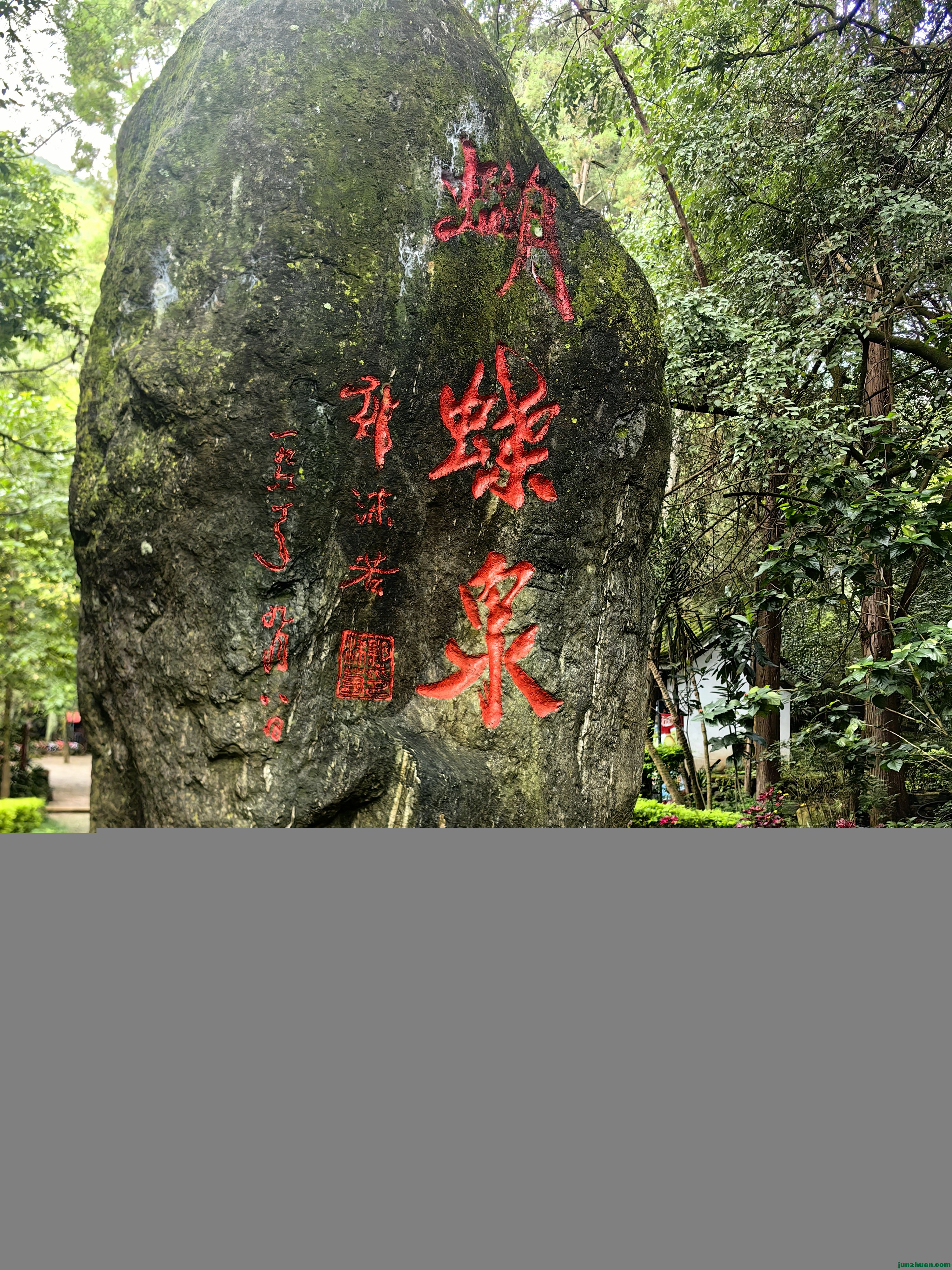 IMG_20241025_084940.jpg