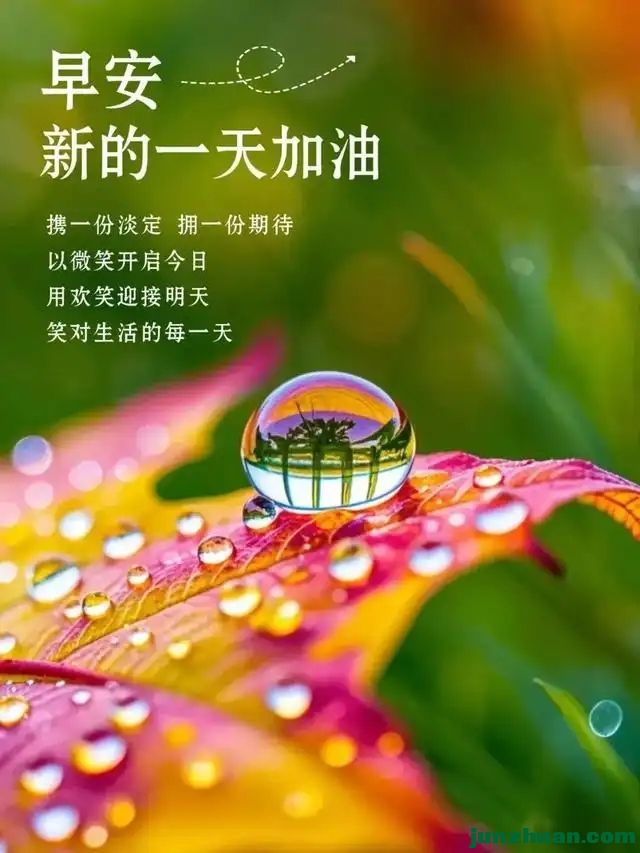 289583440_3_20241014095138192.webp.jpg