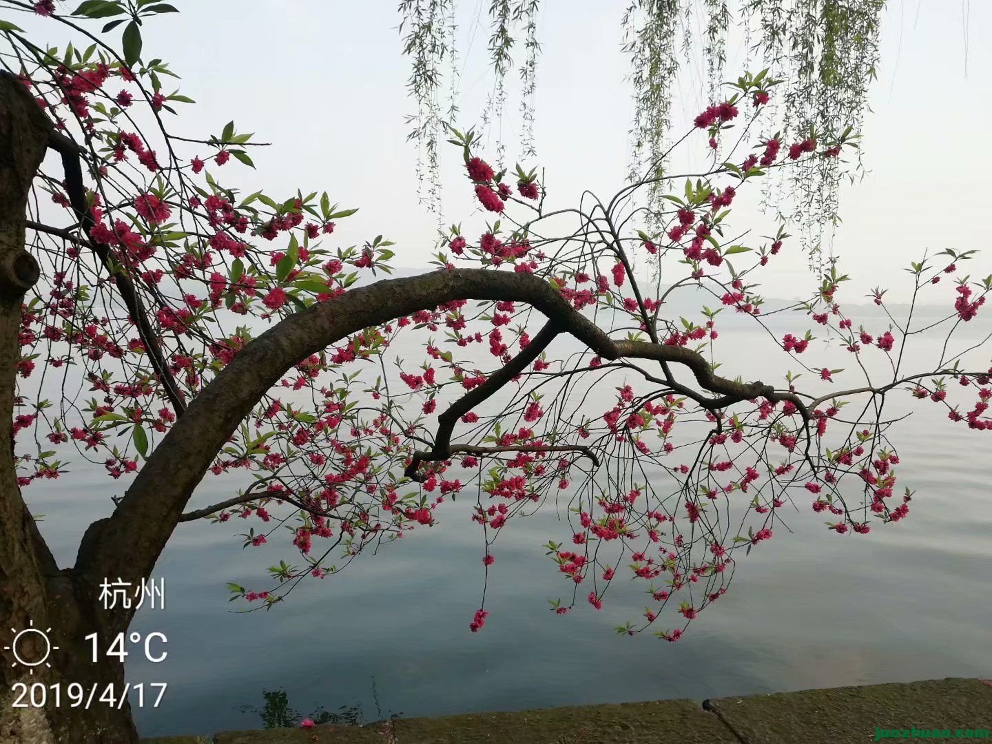 1617575169153.jpeg
