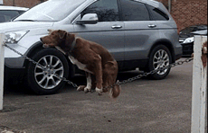 s20131017124346151.gif