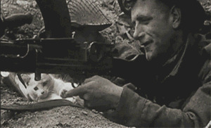 s20131017124349492.gif