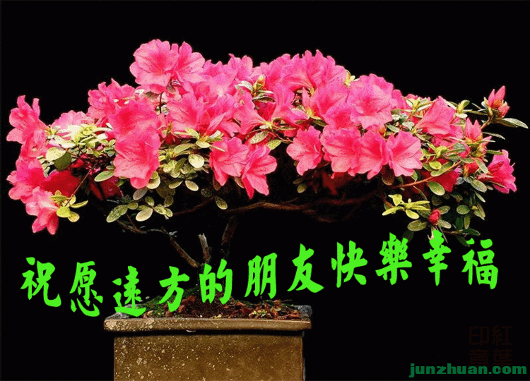 ףԸԶѿҸ.gif