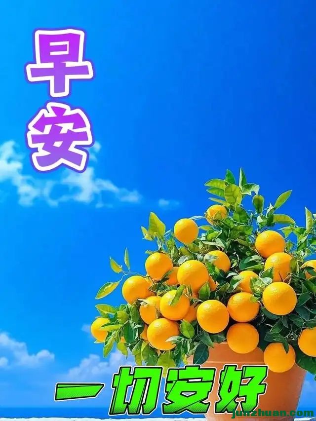 290341648_17_20241104112524472.webp.jpg