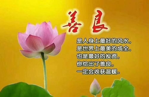 IMG_20241112_045100.jpg