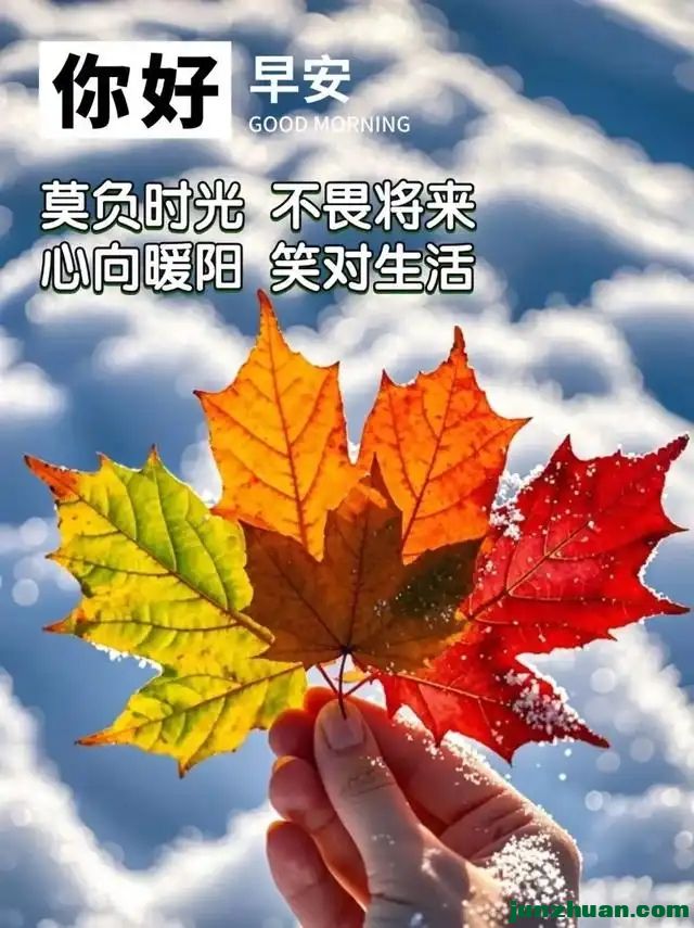 290630270_24_20241112065547491.webp.jpg