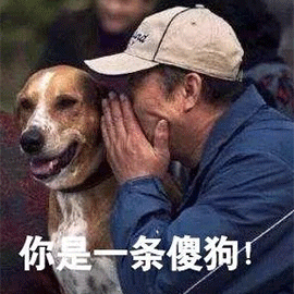 MXtDn40aEb8x6iJCXJPSNLtSDH4YA2TN.gif