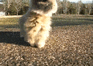 s20131017124409673.gif