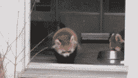 s20131017124423875.gif