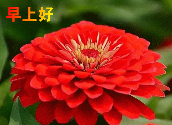 04.webp.gif