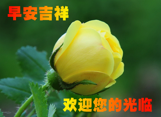 δ_4.gif