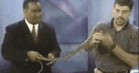 s20131017124443472.gif