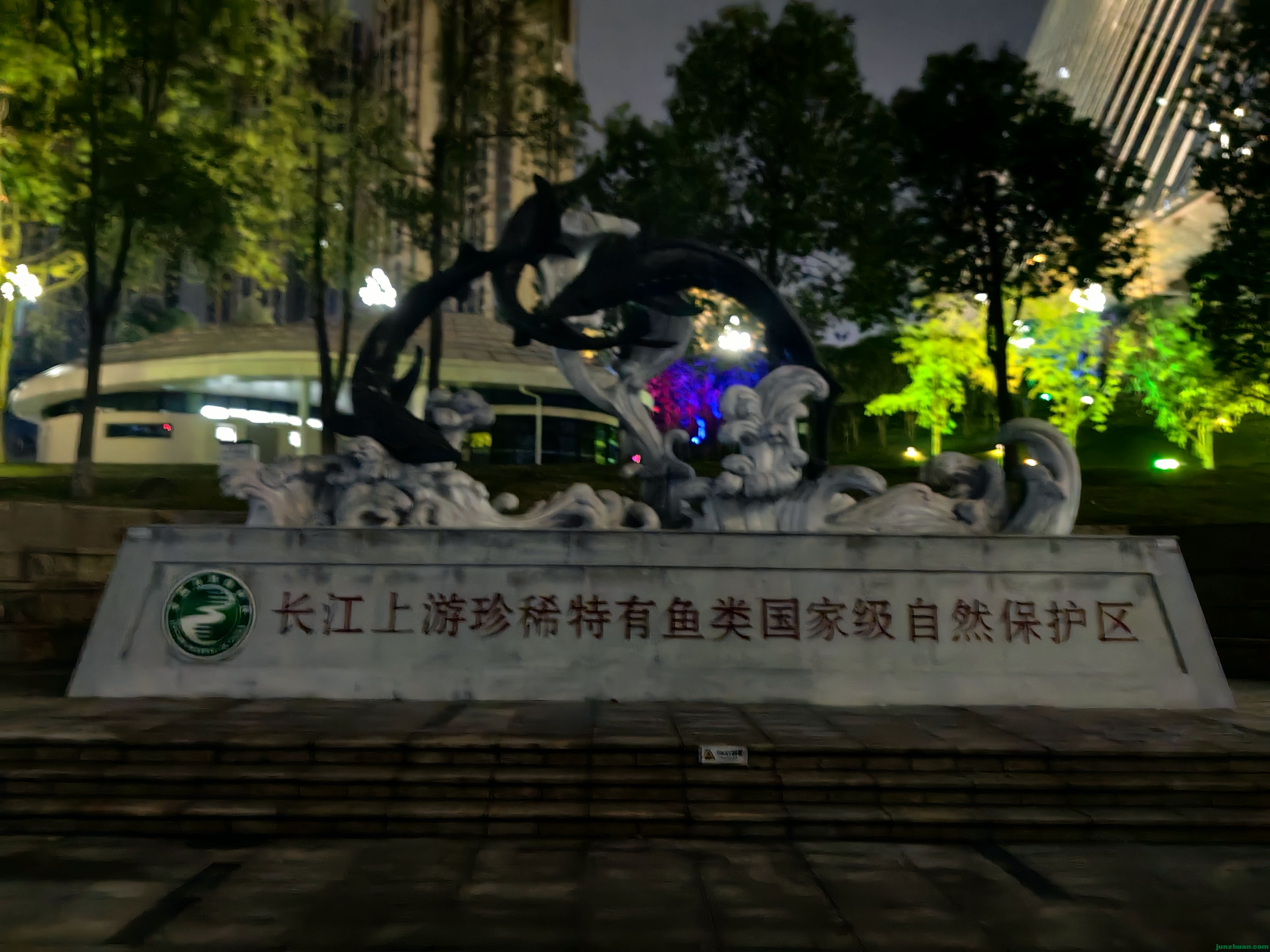 IMG_20241119_055723_1.jpg
