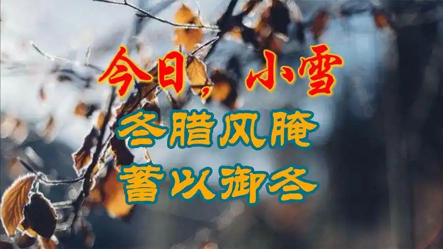 u=512871999,3943778279&amp;fm=253&amp;fmt=auto&amp;app=138&amp;f=JPEG.webp.png