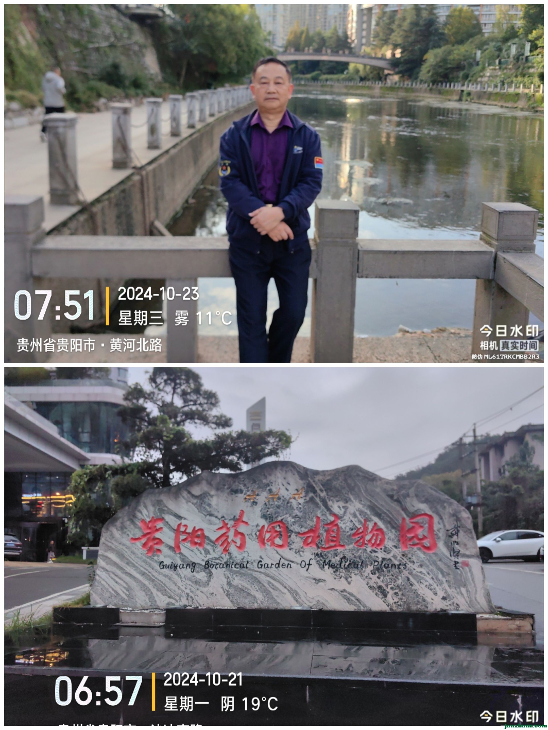 Collage_20241112_152923.jpg