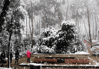 640.gif