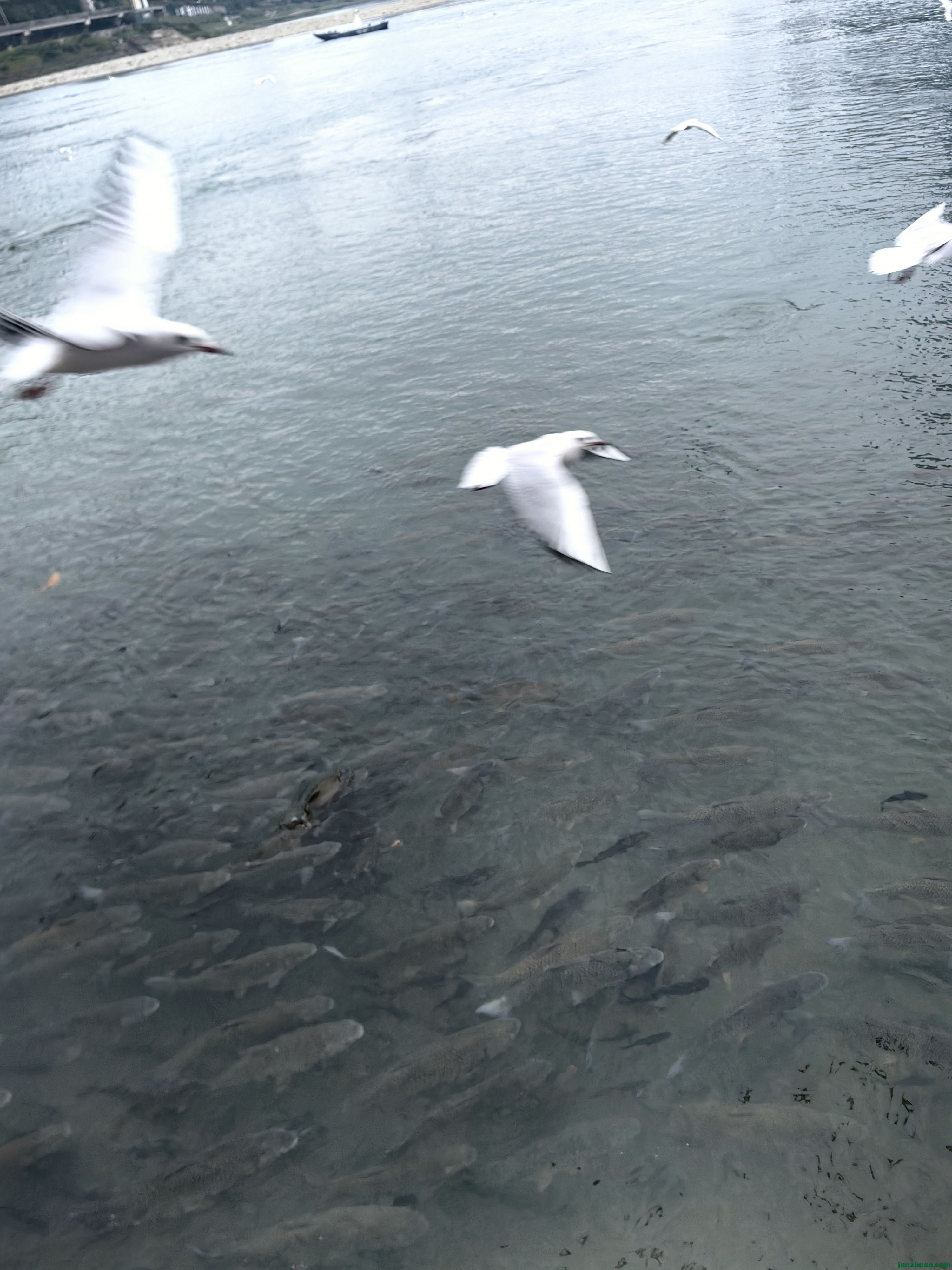 IMG_20241125_174727.jpg