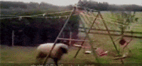 s20131017124545762.gif