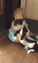 s20131017124551819.gif