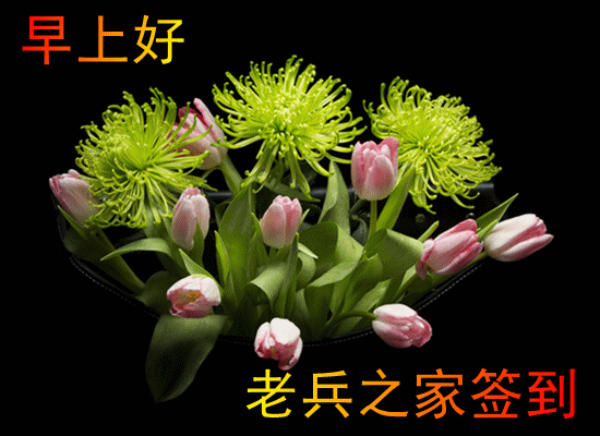 03_.gif
