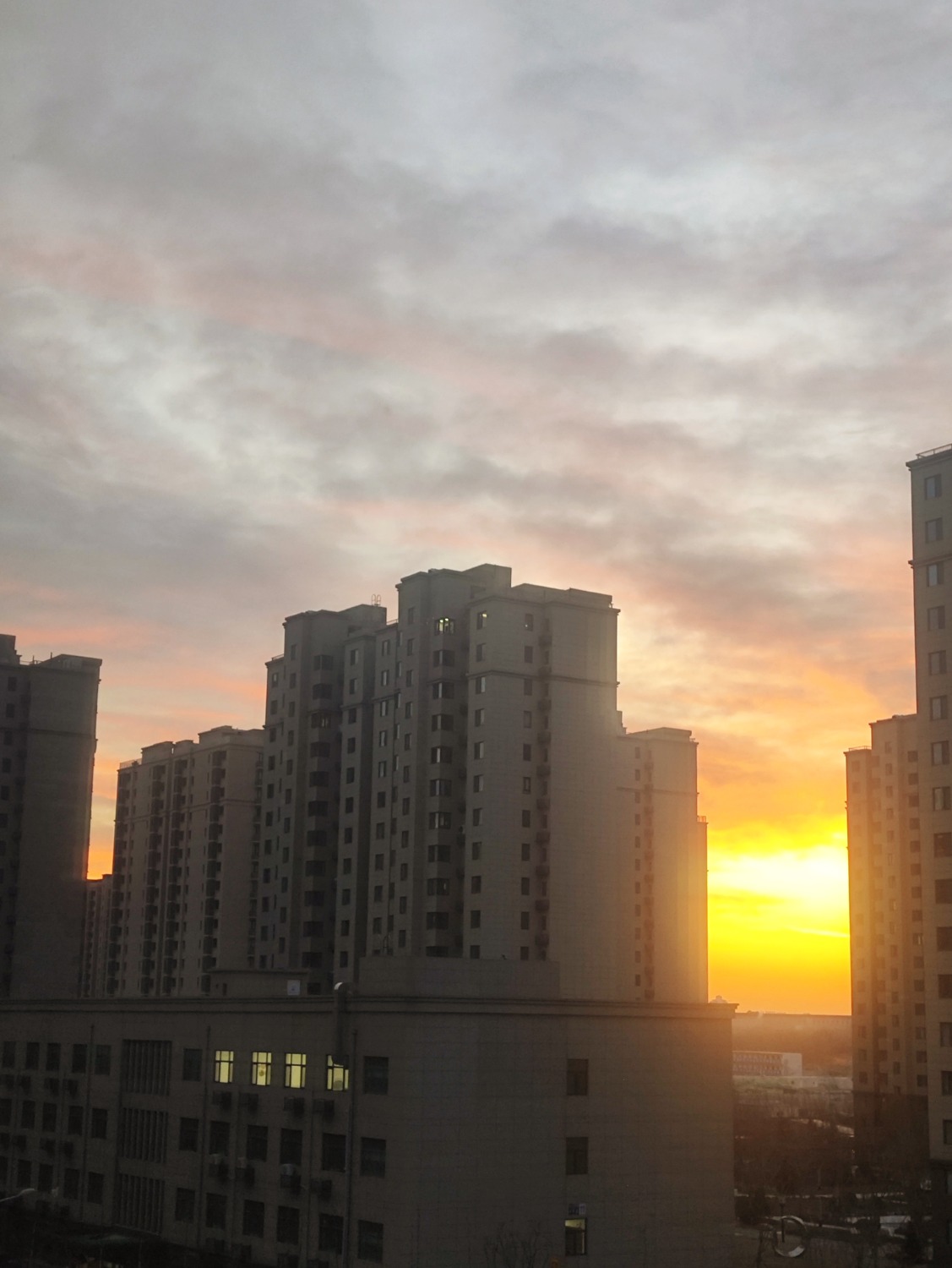 IMG_20241229_083128.jpg