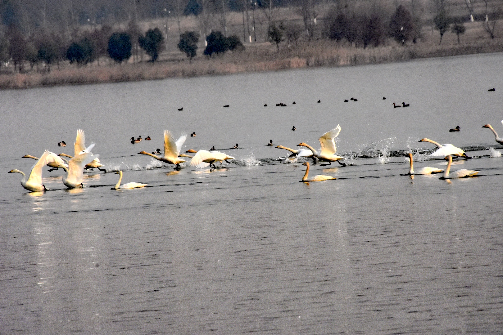 DSC_2597_edit_33028070425688.jpg