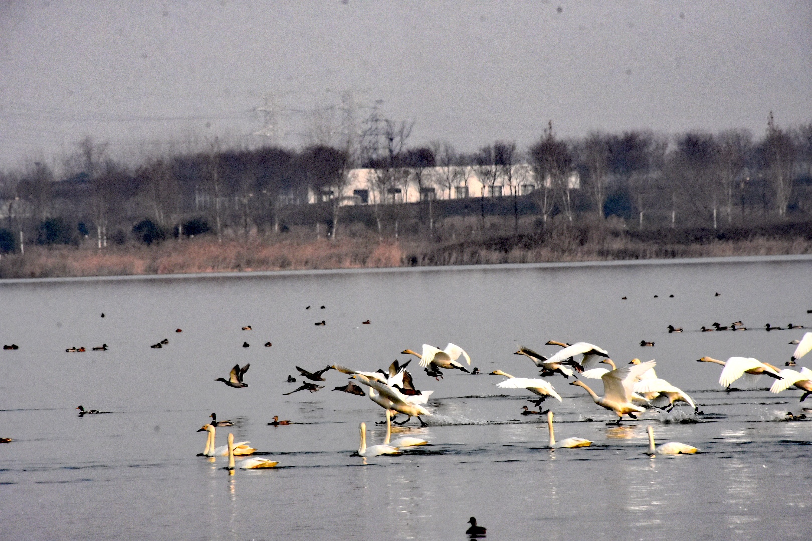 DSC_2607_edit_32938773224139.jpg