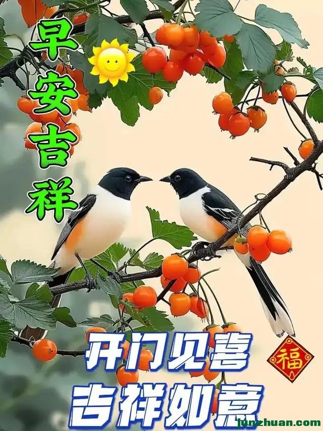 292789834_6_202501050938498.webp.jpg