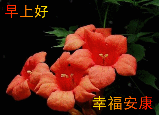 011_.gif
