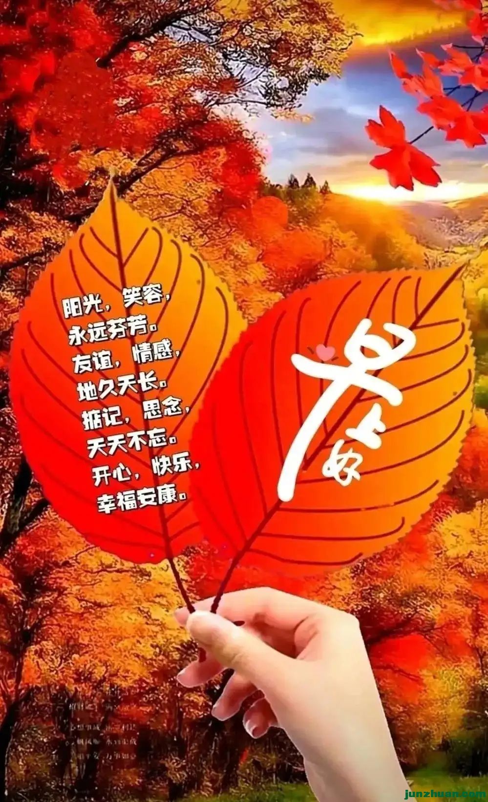292823382_4_20250106073357322.webp.jpg