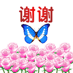 20200310064841_ehkdu.gif