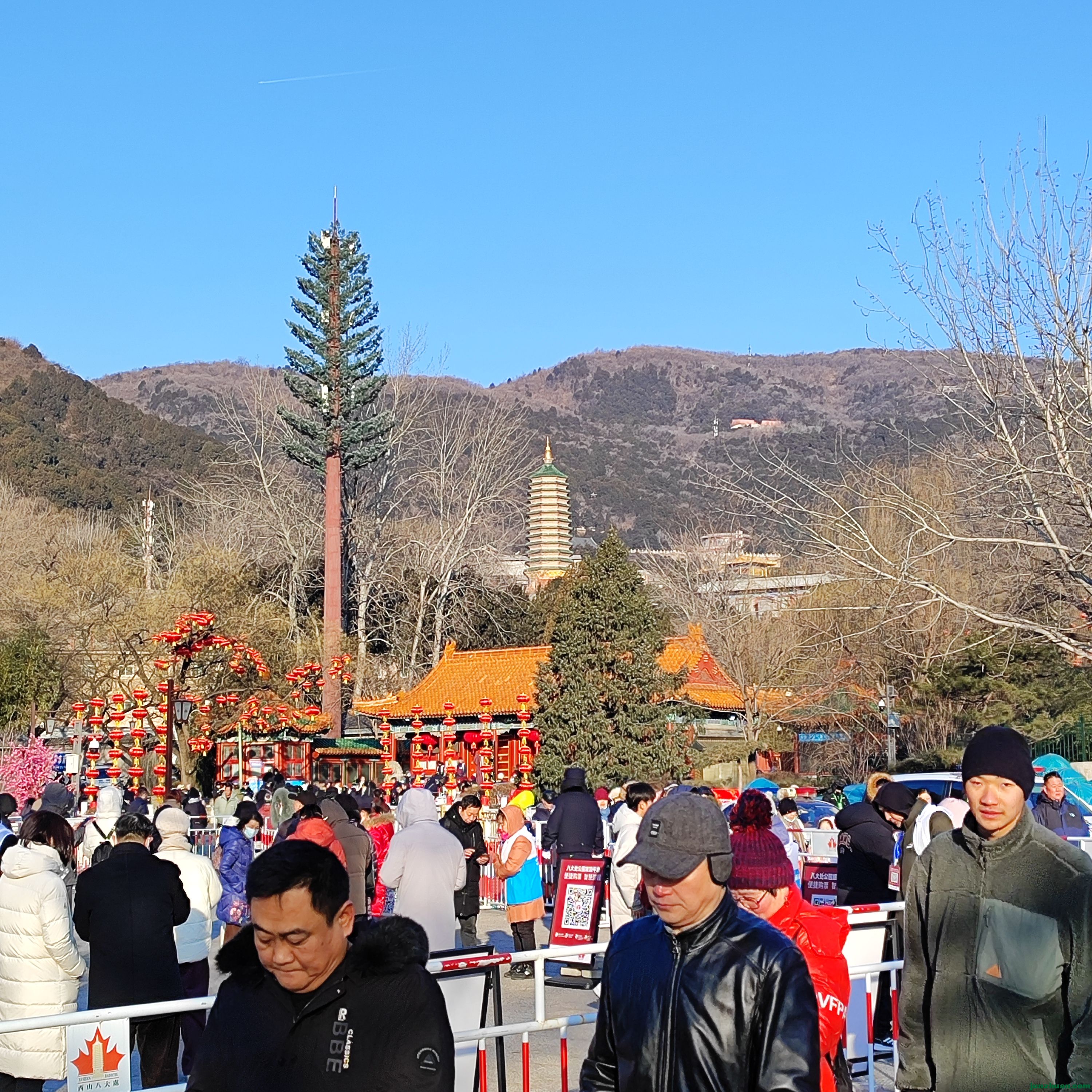IMG_20250129_085751.jpg