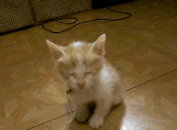 s20131017124811467.gif