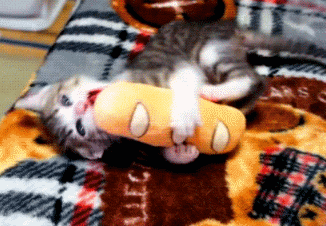 s20131017124817735.gif