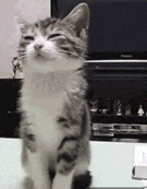 s20131017124827273.gif