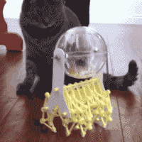 s20131017124831824.gif