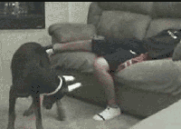 57cc14075659a.gif