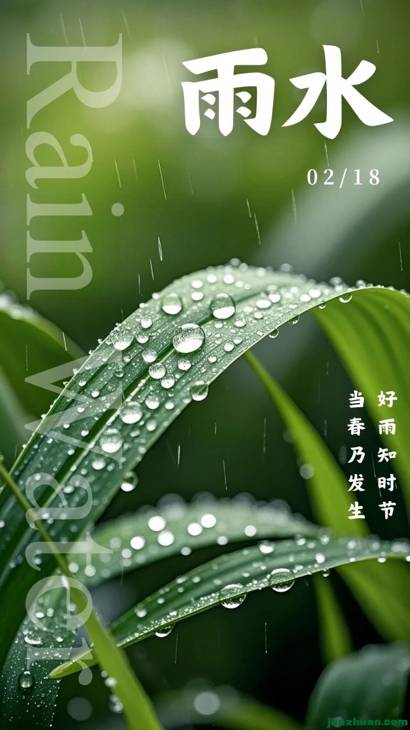 mmexport1739710917127.jpg