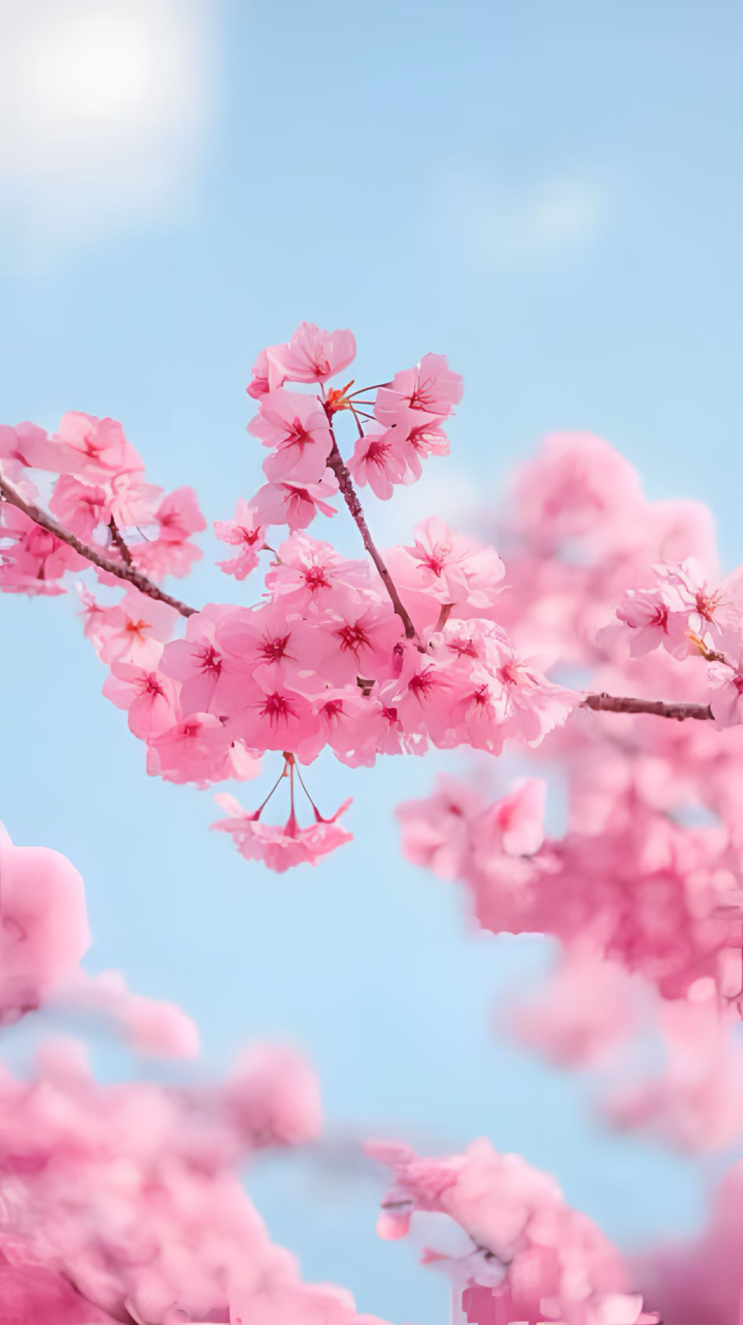 ΢ͼƬ_20250219161724.png