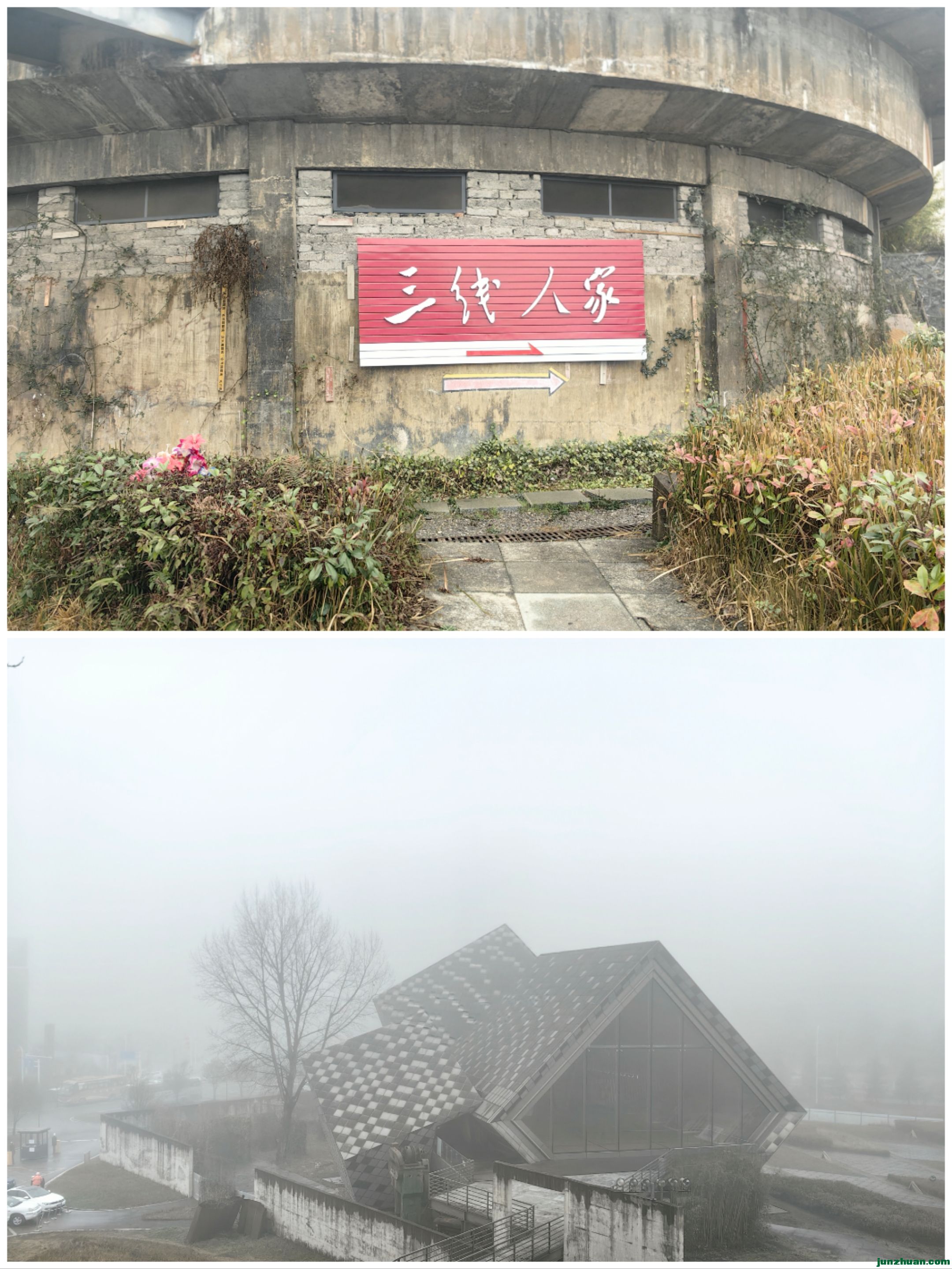 Collage_20250211_121950.jpg