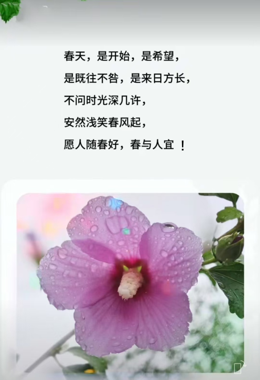 mmexport1740426511797.jpg