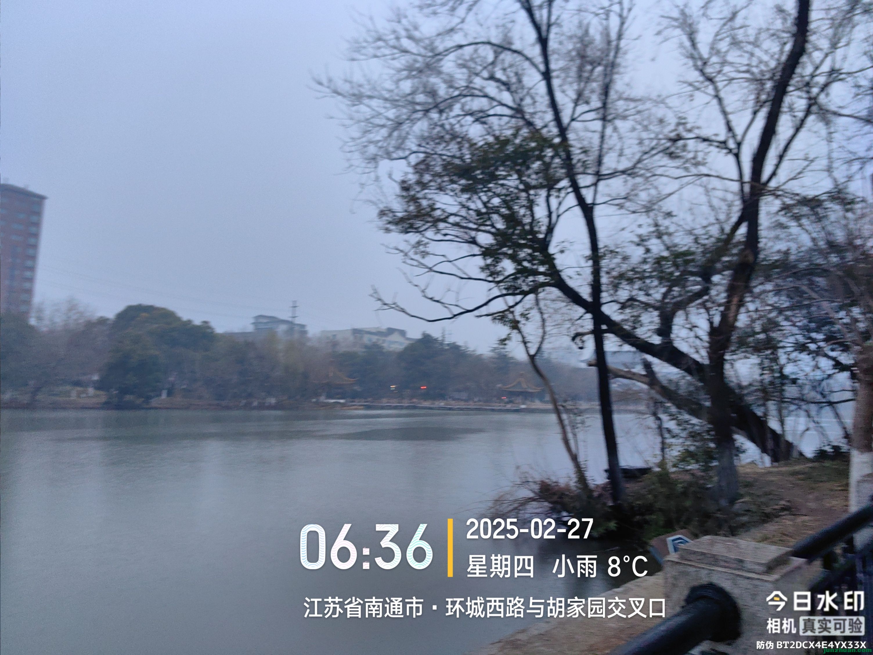 IMG_20250227_063633265.jpg