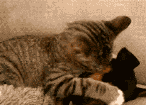 s20131017124848944.gif