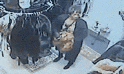 s20131017124921889.gif