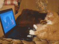 s20131017124925387.gif