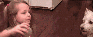 s20131017124958437.gif