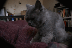 s20131017125005255.gif