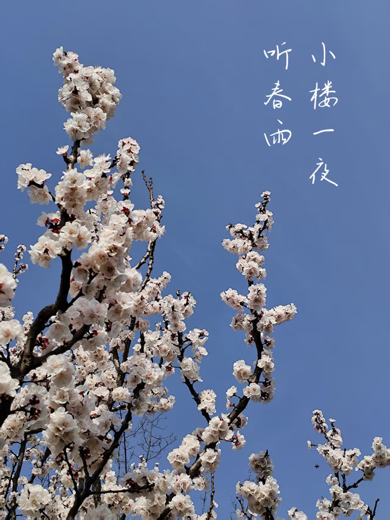 ΢ͼƬ_20250401151902.jpg